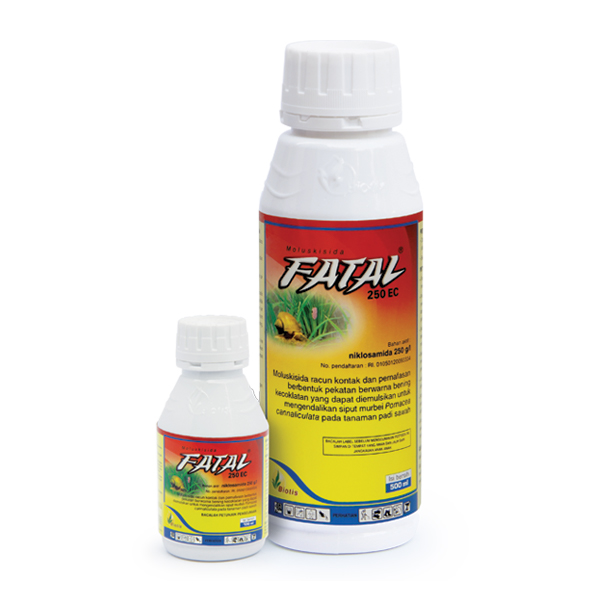 FATAL 250 EC
