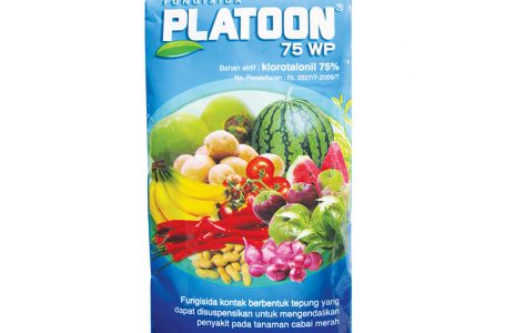 PLATOON 75 WP