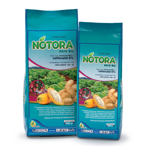 NOTORA 60/6 WG